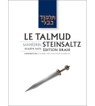 Sanhedrin II - Le Talmud Steinsaltz T30 (couleur)